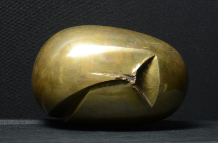 Constantin Brancusi, Premier Cri